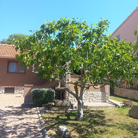 Apartmani Goga Biograd Na Moru Esterno foto