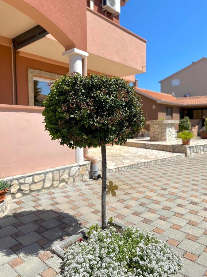 Apartmani Goga Biograd Na Moru Esterno foto