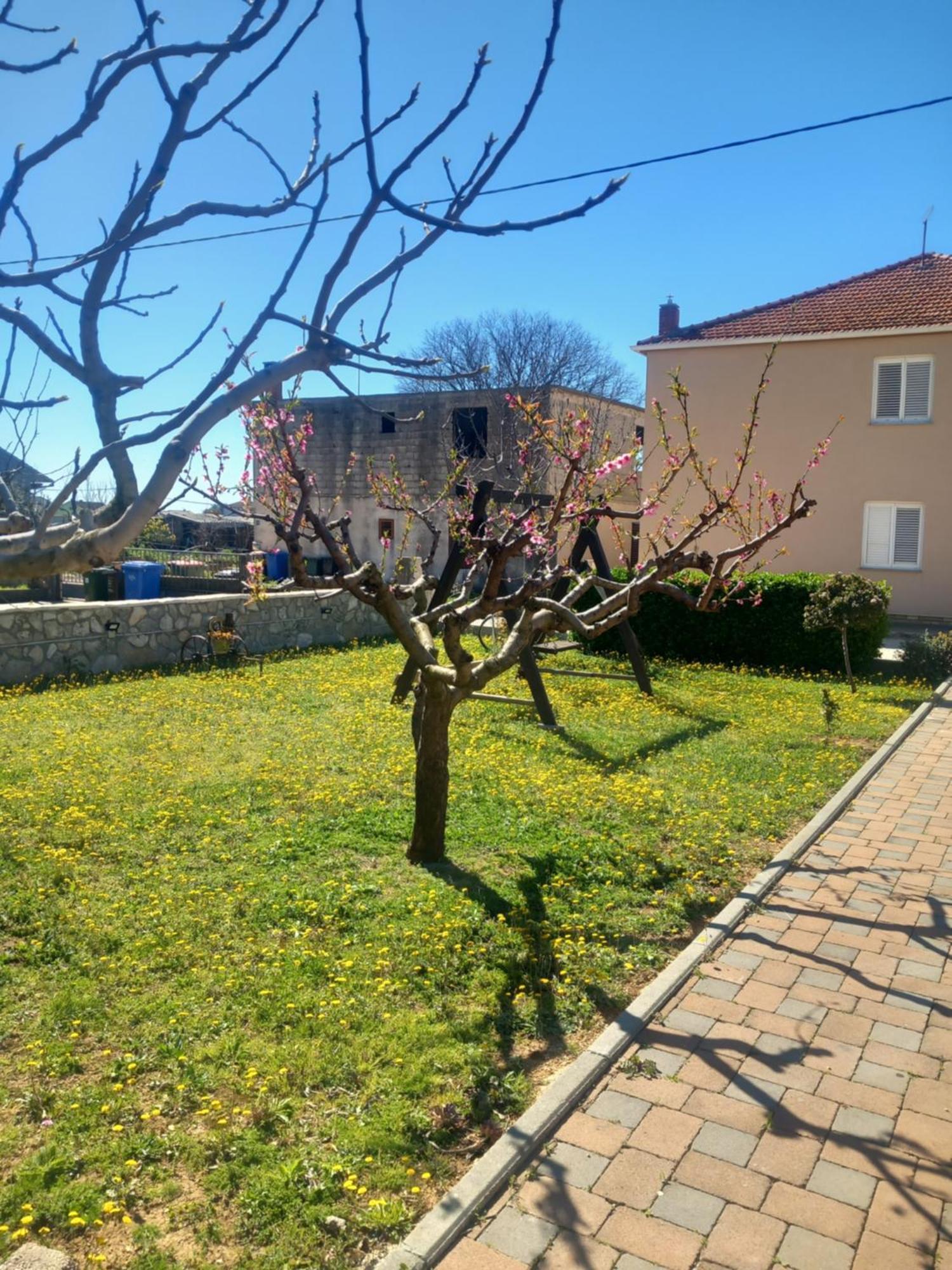 Apartmani Goga Biograd Na Moru Esterno foto