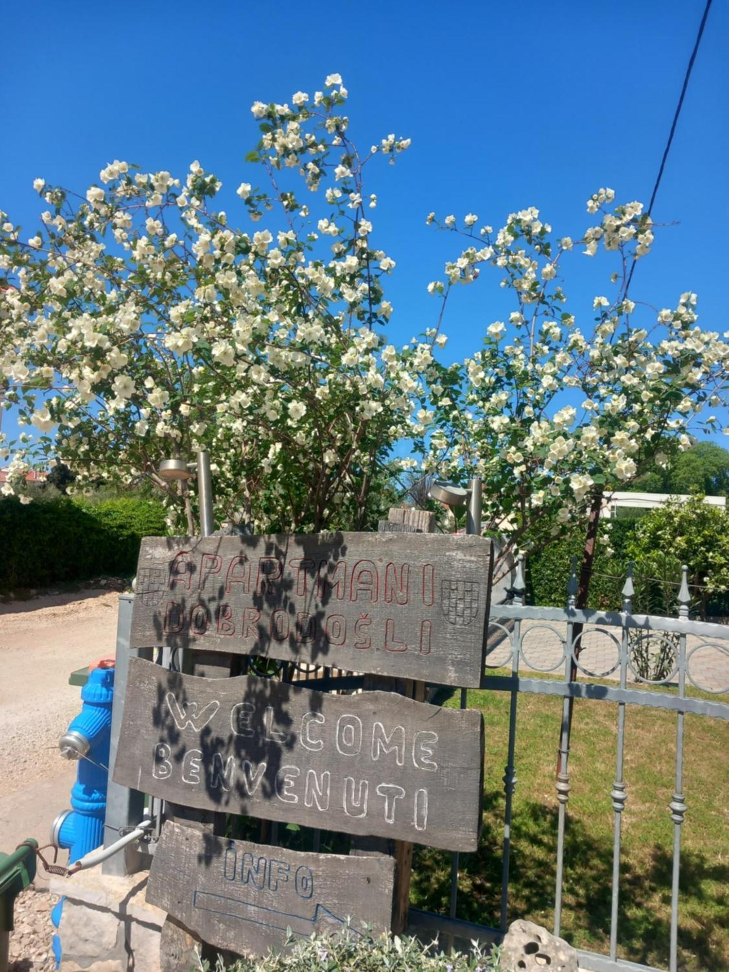 Apartmani Goga Biograd Na Moru Esterno foto