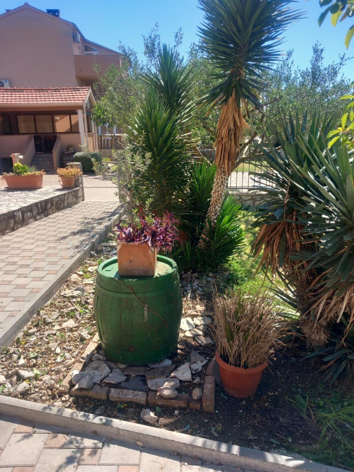 Apartmani Goga Biograd Na Moru Esterno foto